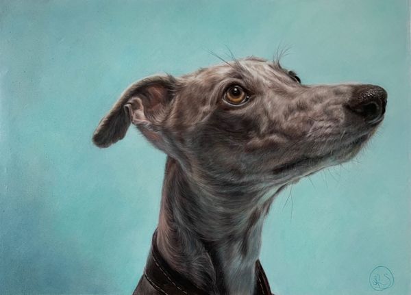 'Myrtle' by Kate Brunt