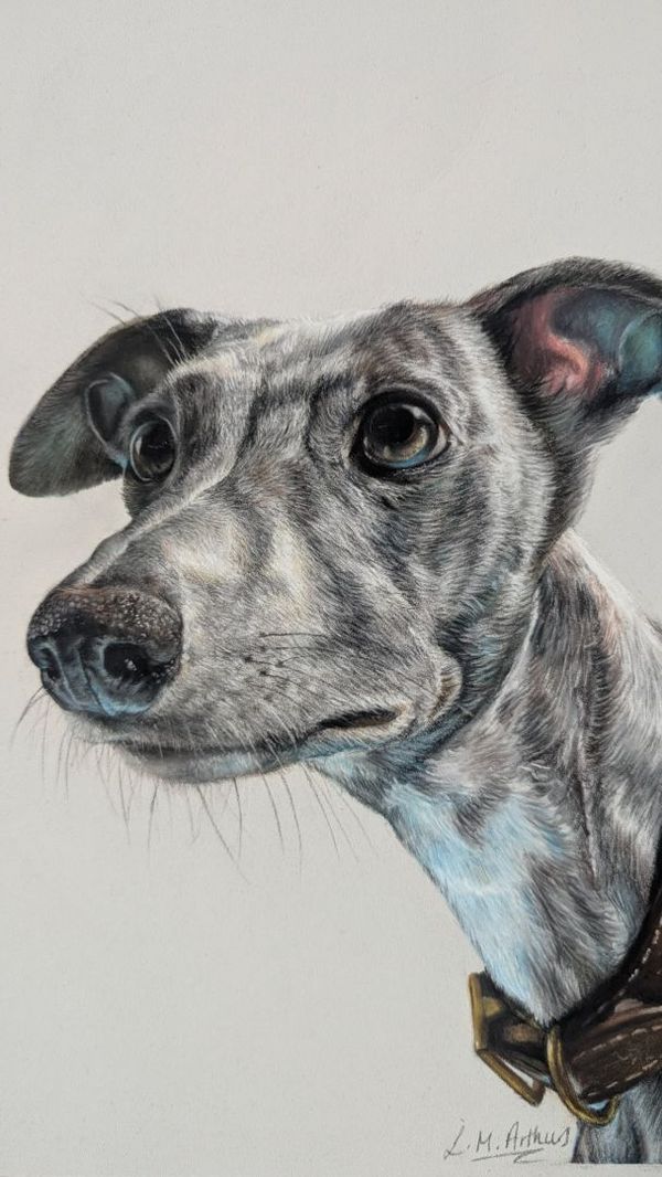 'Myrtle' by Lucy Arthurs